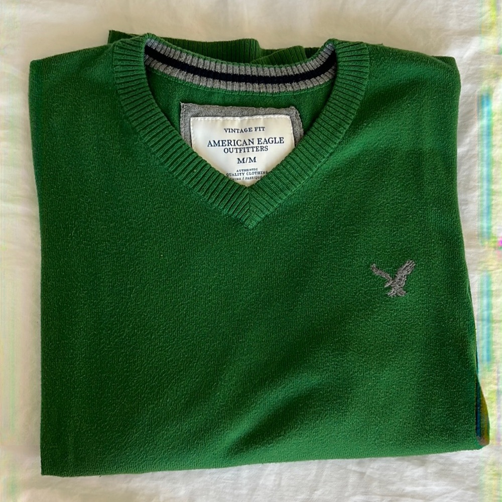 Mens American eagle green v neck sweater